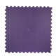 Purple 15995261451 o