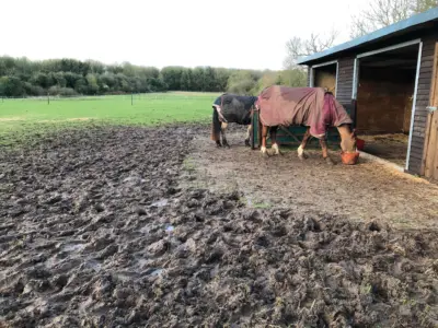 Pferde & Landwirtschaft