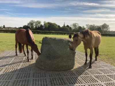 Pferde & Landwirtschaft
