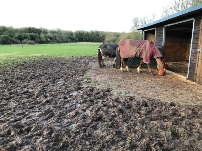 Pferde & Landwirtschaft