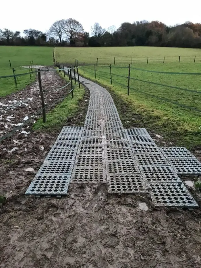 Pferde & Landwirtschaft