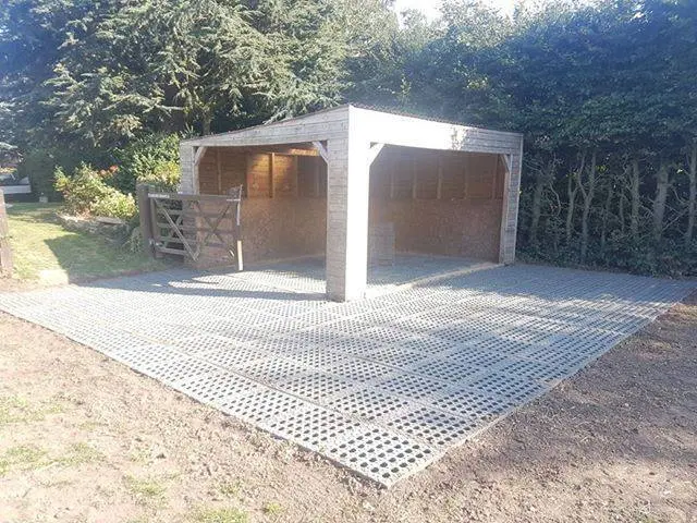 TM Stable 41